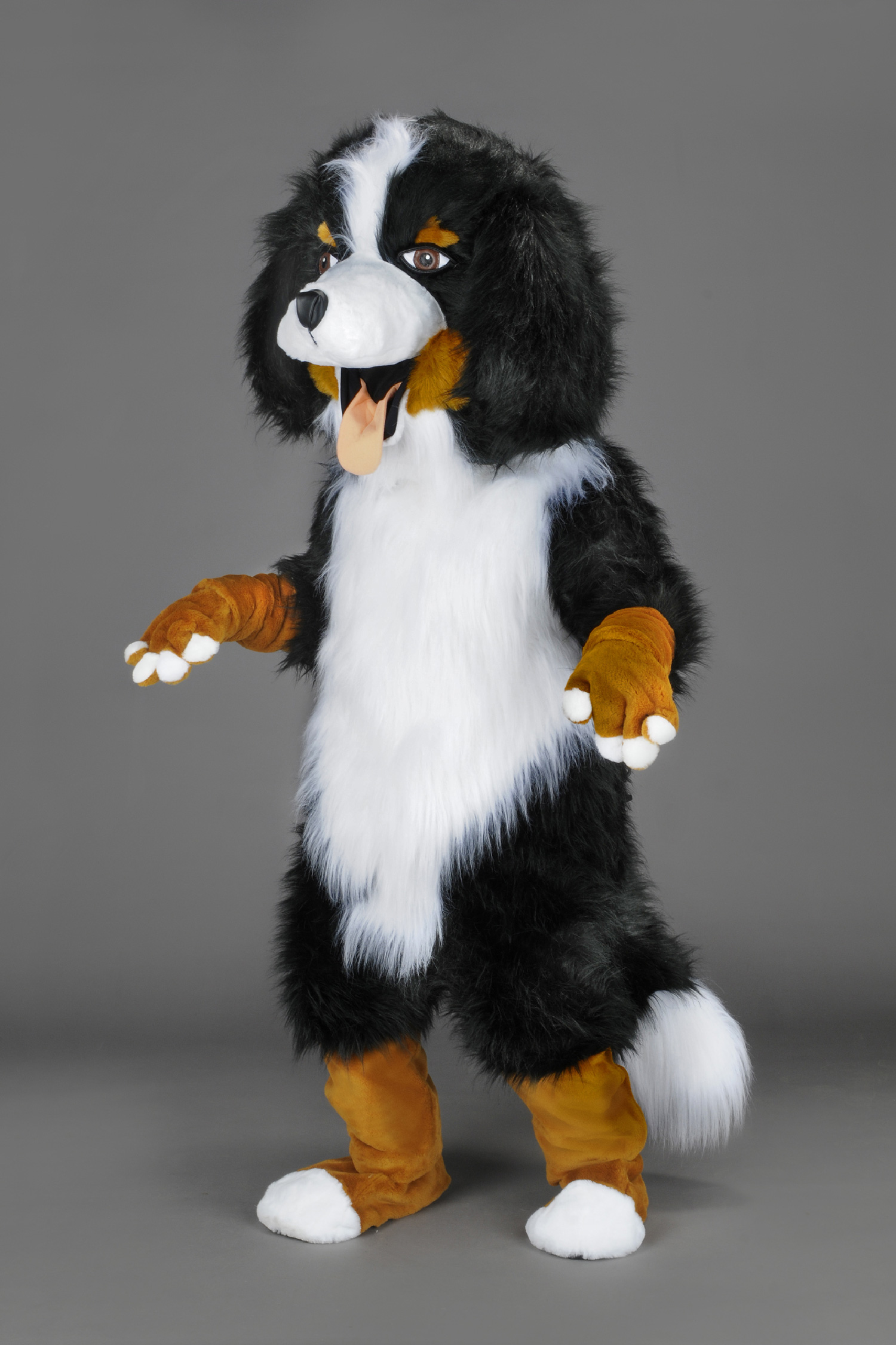 MASCOT COSTUME
